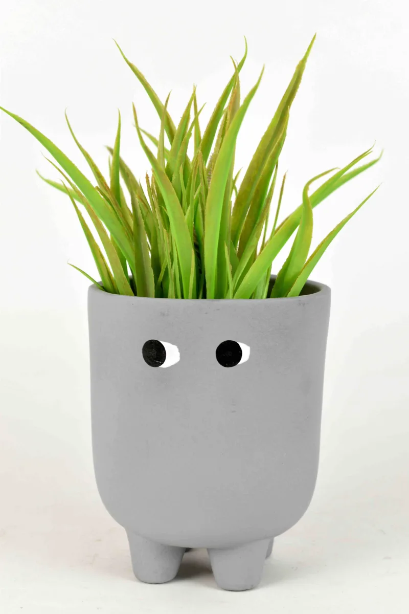 Classic Ceramic Planter — 5.5" Dia × 5" Height — Primary View