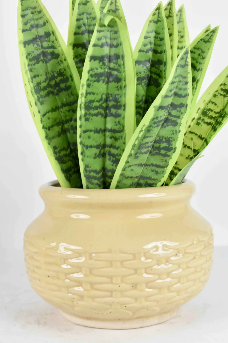 Classic Ceramic Planter — 16" Dia — Primary View