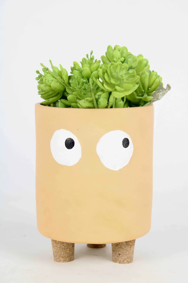 Classic Ceramic Planter — 6" Dia × 5" Height — Primary View
