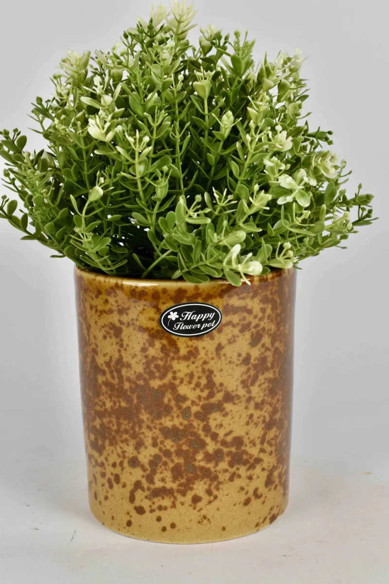Classic Ceramic Planter — 5" Dia × 6" Height — Primary View