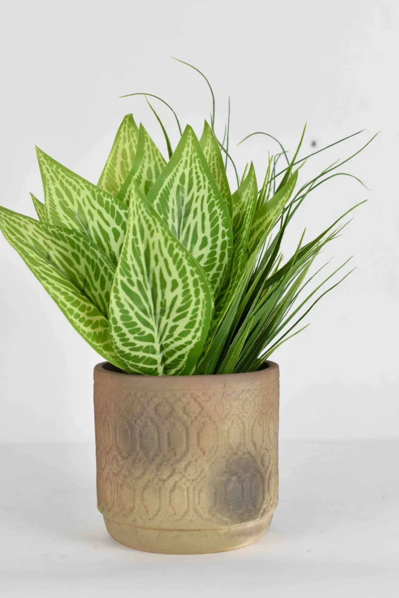 Classic Ceramic Planter — 4.5" Dia × 4.5" Height — Primary View