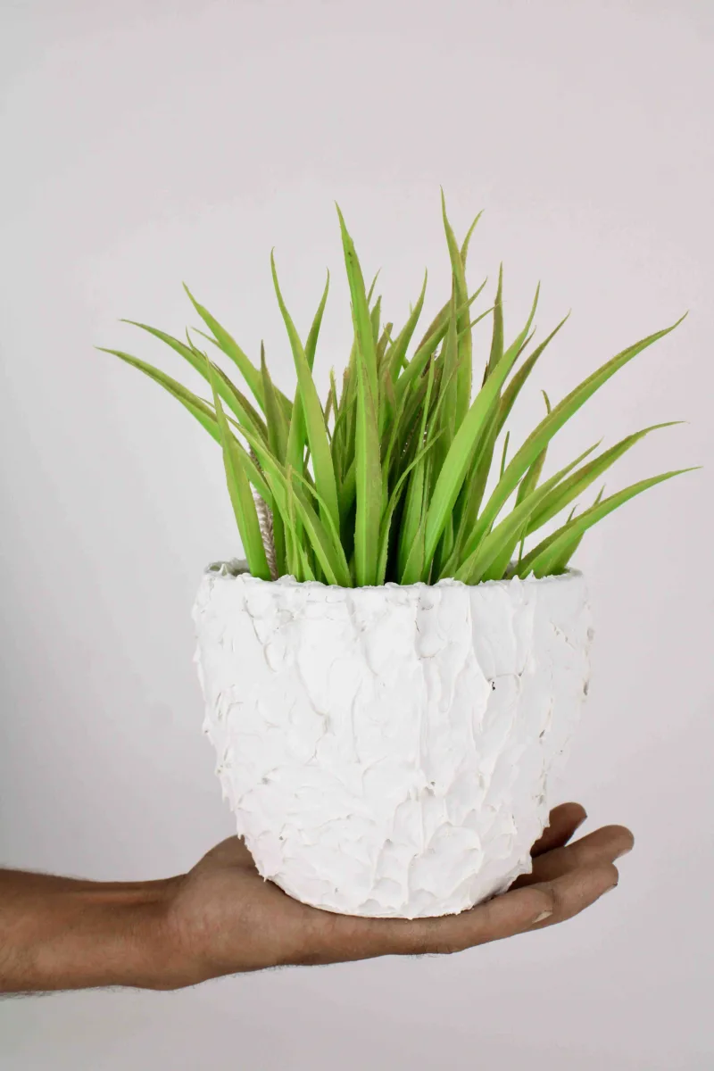 Classic Ceramic Planter — 8" Dia × 6" Height — Primary View