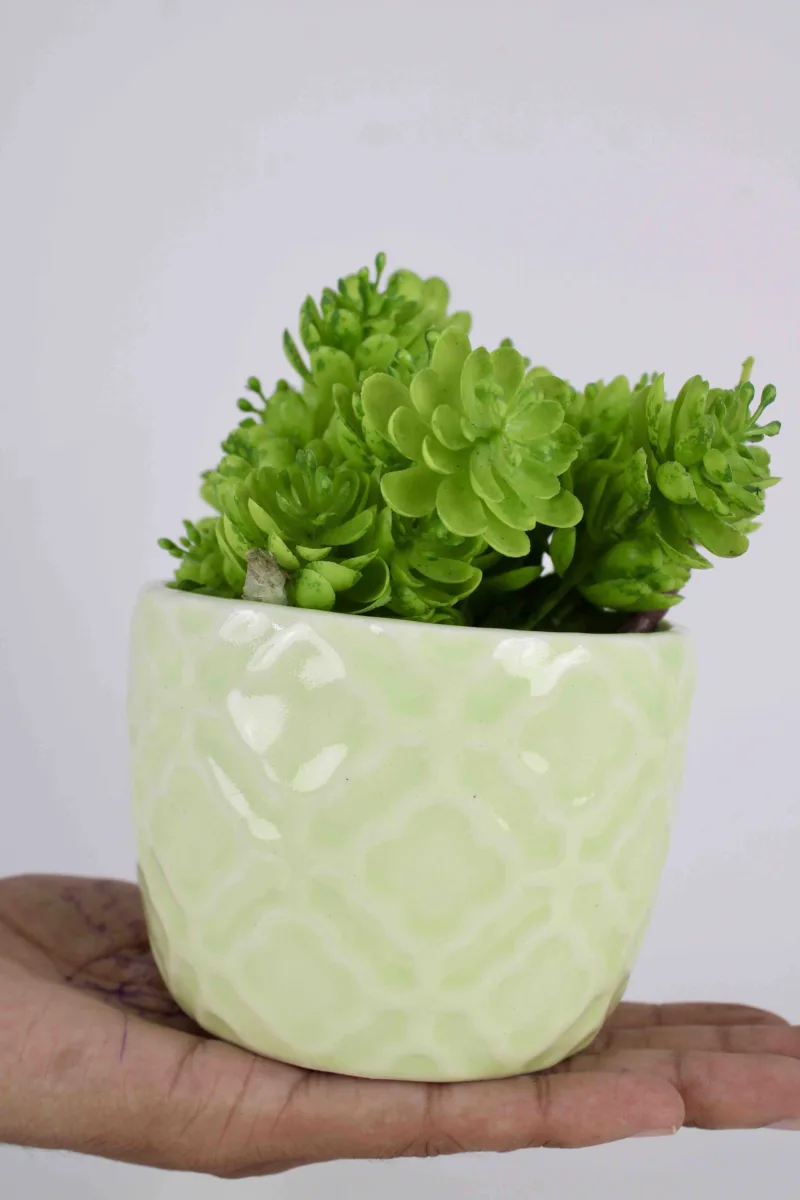 Classic Ceramic Planter — Primary View