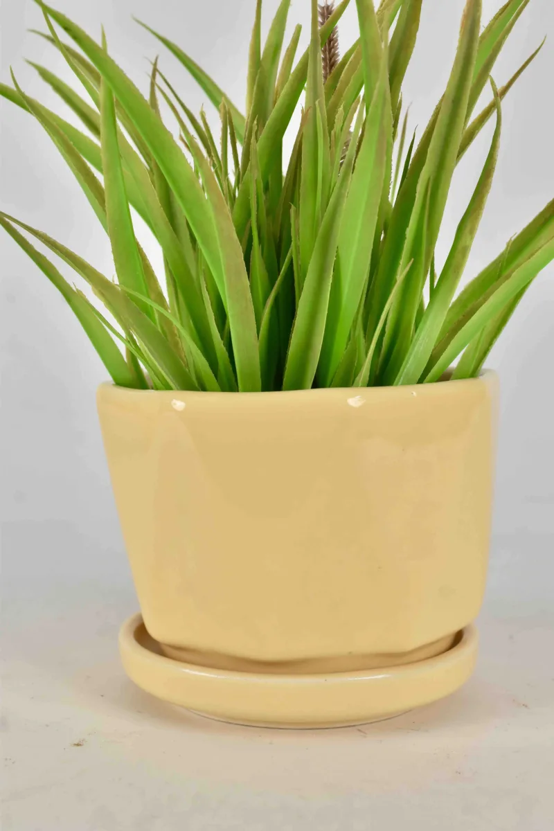 Classic Ceramic Planter — 5" Dia × 6" Height — Primary View