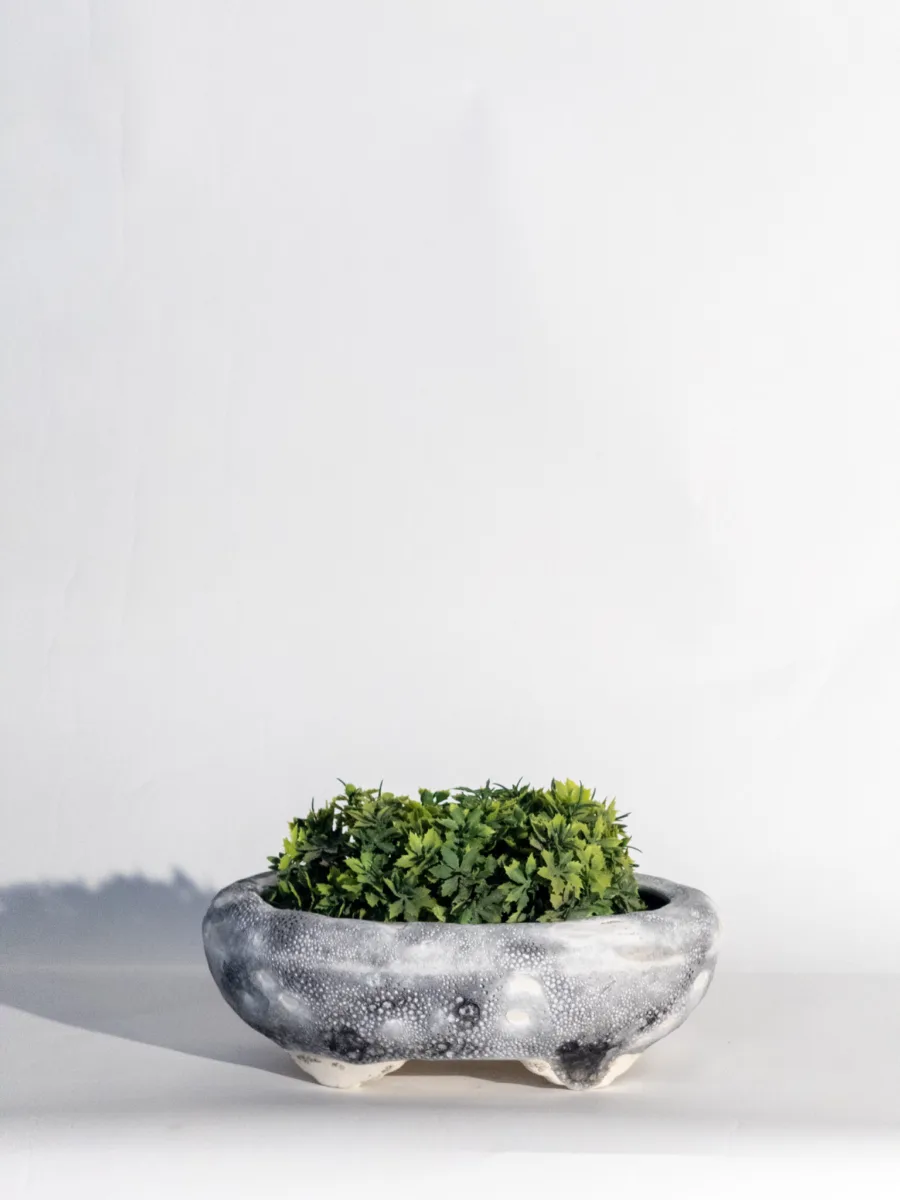 Classic Ceramic Planter — 2.5" Dia × 2.5" Height — Primary View