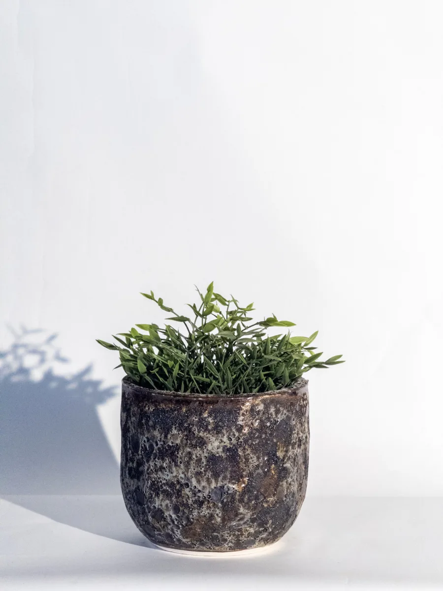 Classic Ceramic Planter — 4" Dia × 3.5" Height — Primary View