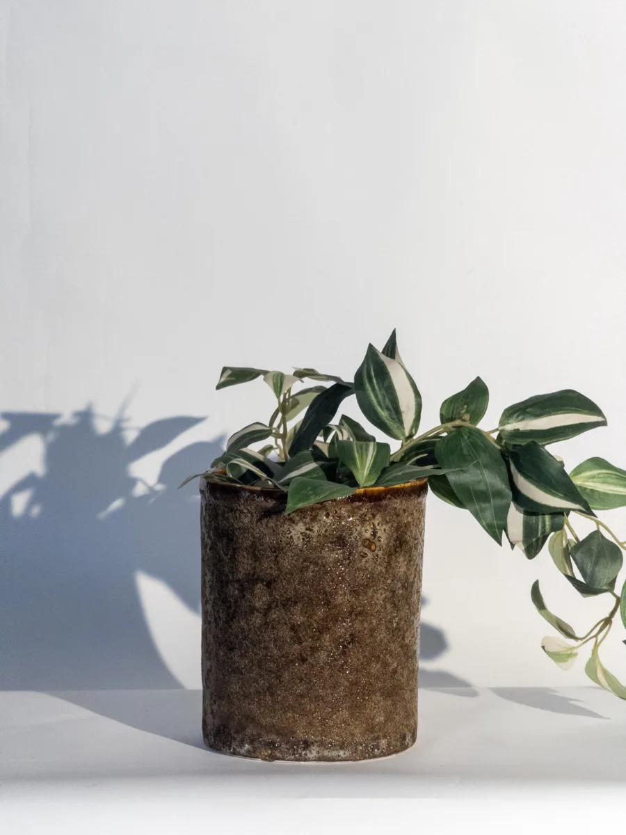 Classic Ceramic Planter — 4.5" Dia × 4" Height — Primary View