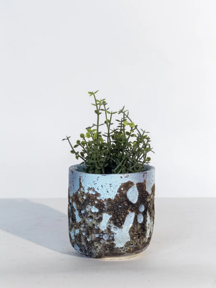 Classic Ceramic Planter — 5.5" Dia × 2.5" Height — Primary View