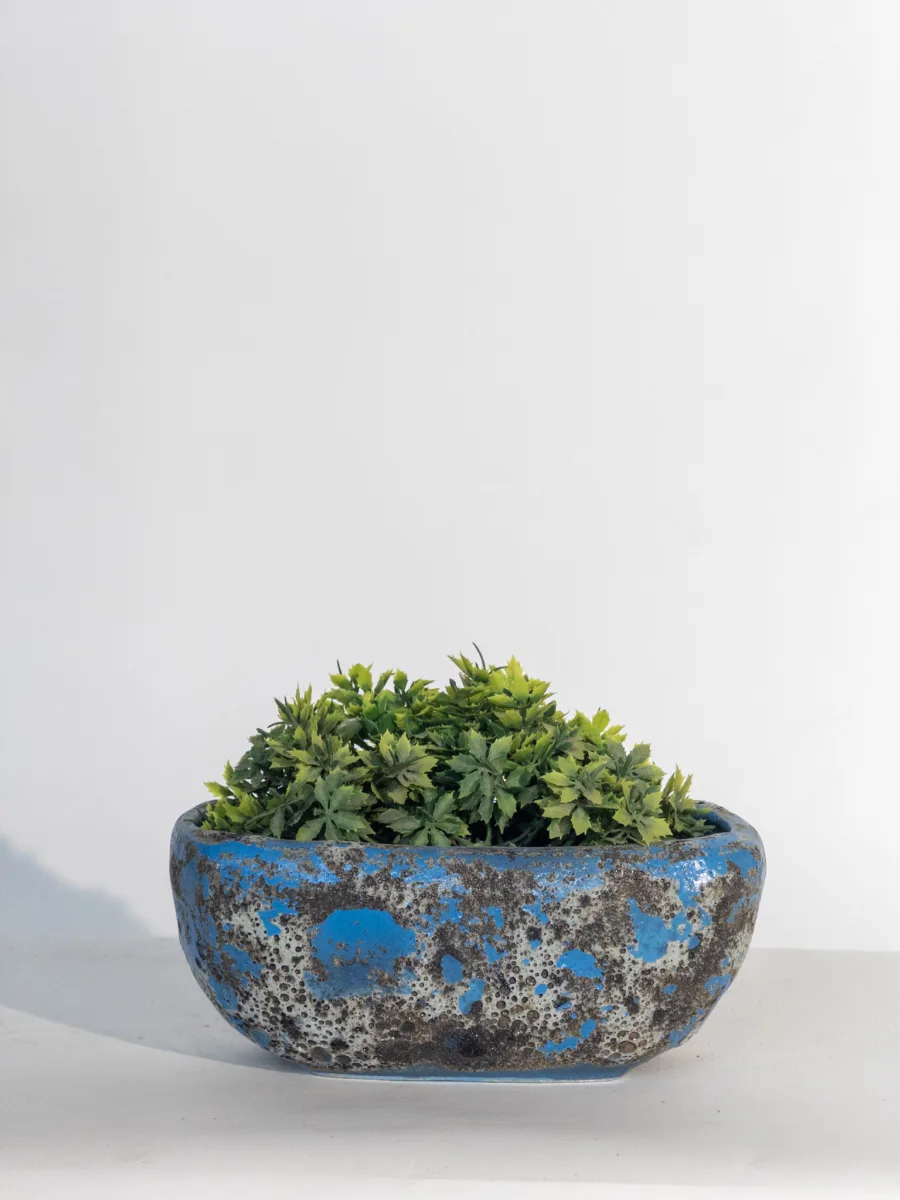 Classic Ceramic Planter — 9.5" Dia × 3" Height — Primary View