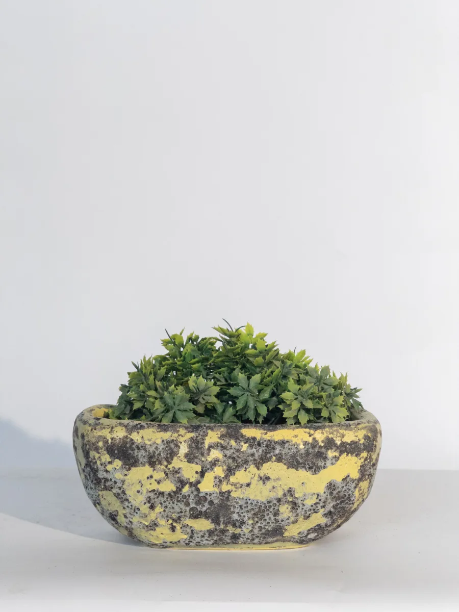 Classic Ceramic Planter — 9" Dia × 3" Height — Primary View