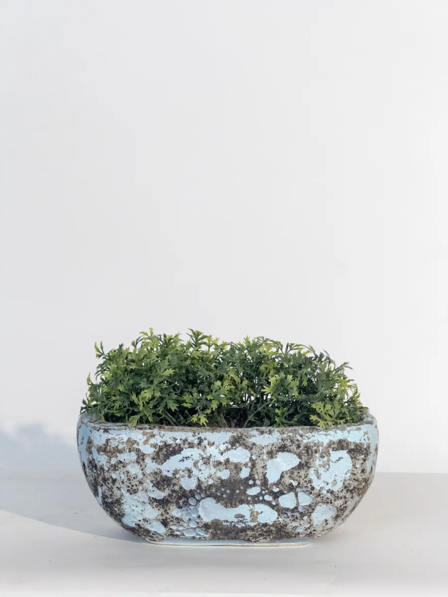 Classic Ceramic Planter — 8" Dia × 7.5" Height — Primary View