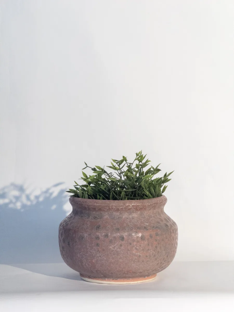 Classic Ceramic Planter — 8" Dia × 3.5" Height — Primary View