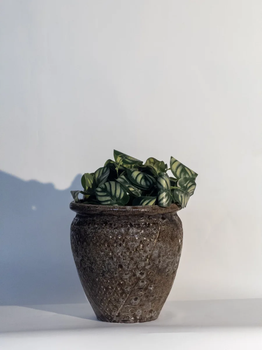 Classic Ceramic Planter — 8" Dia × 3.5" Height — Primary View