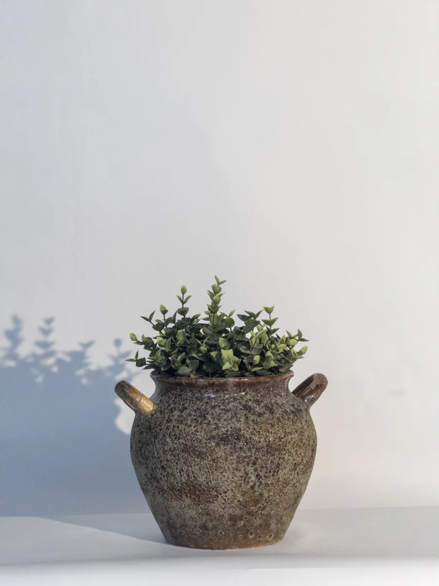 Classic Ceramic Planter — 8" Dia × 3.5" Height — Primary View