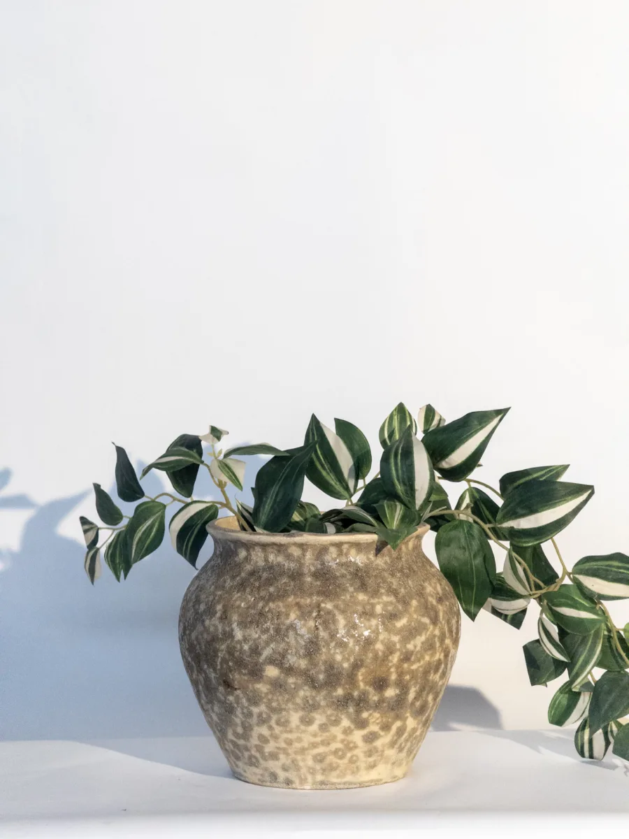 Classic Ceramic Planter — 8" Dia × 8" Height — Primary View