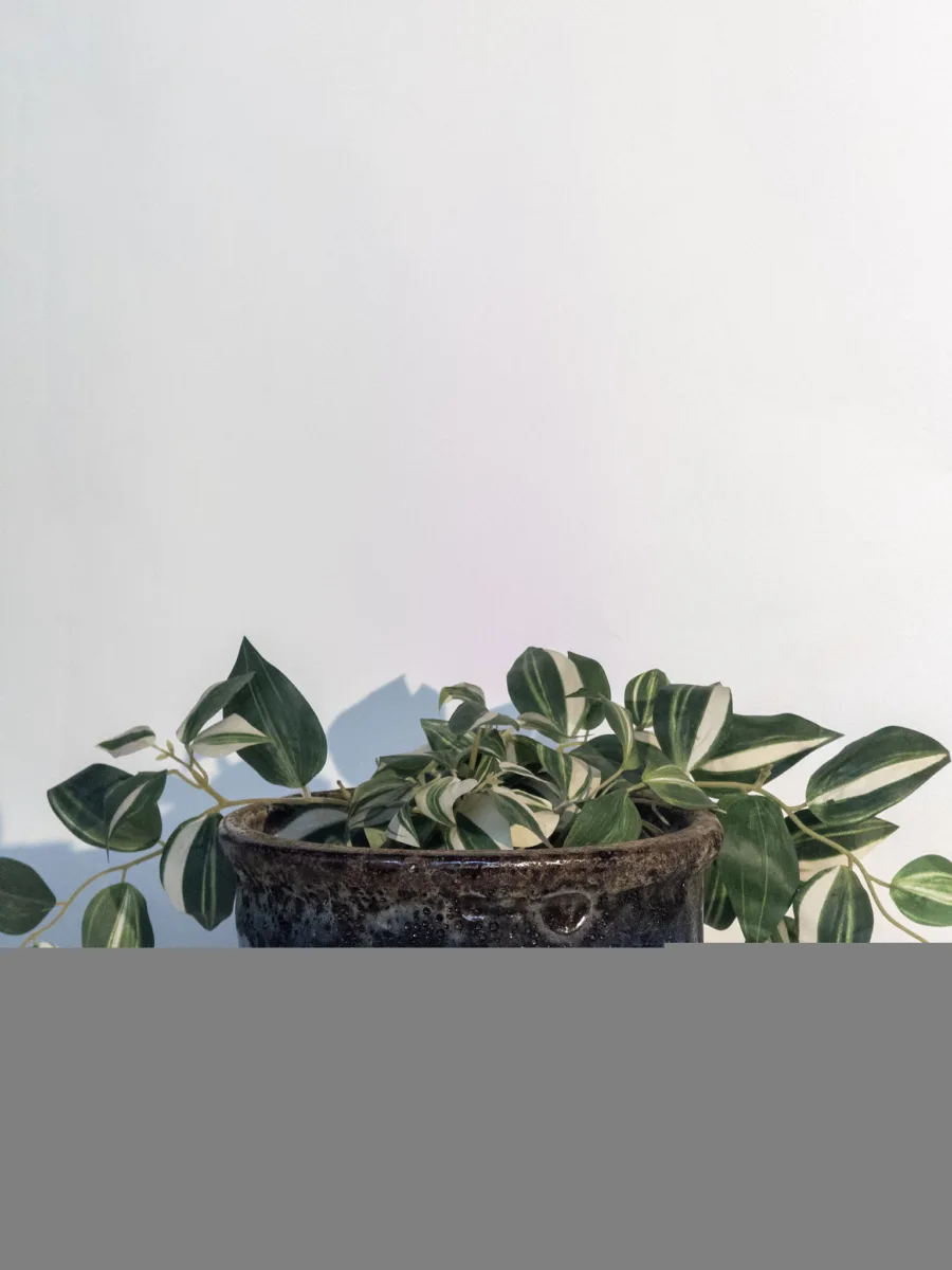 Classic Ceramic Planter — 7.5" Dia × 9" Height — Primary View