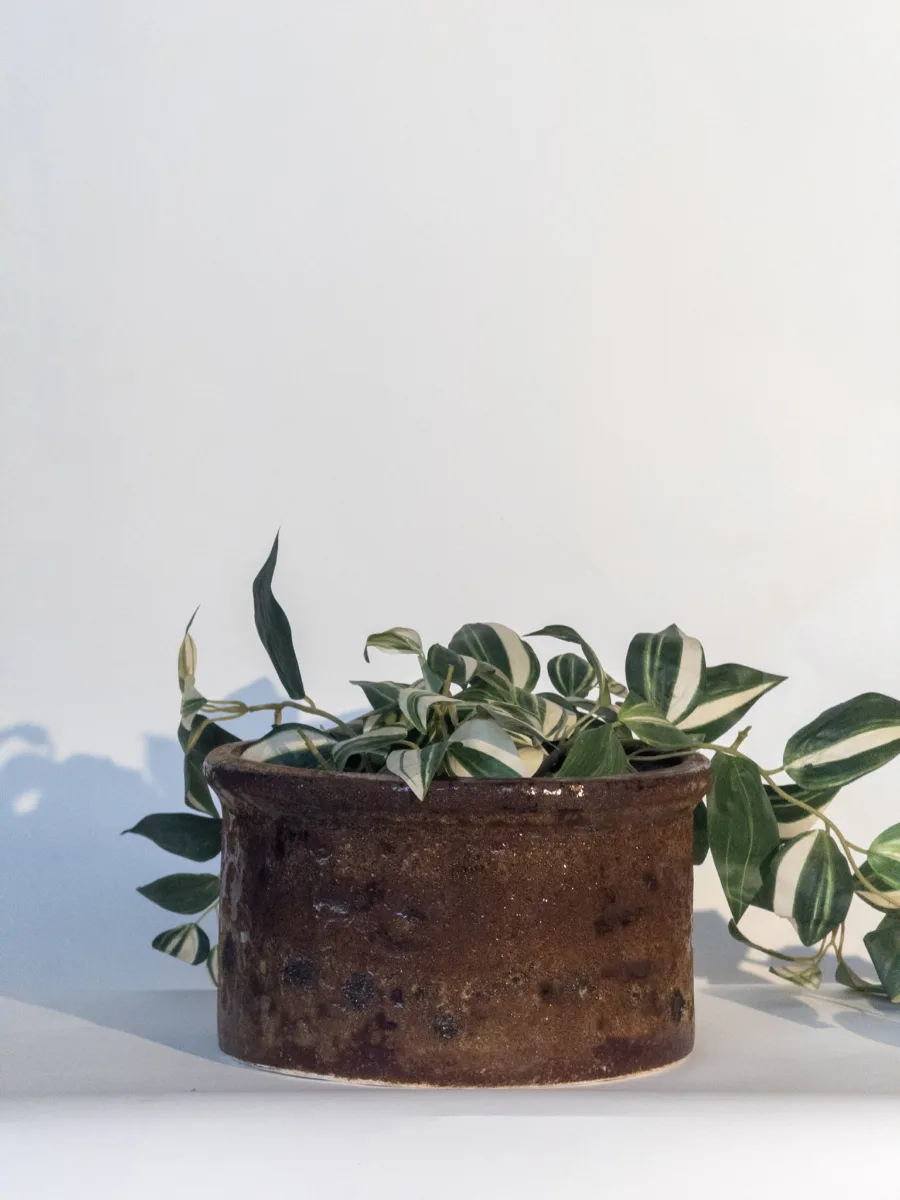 Classic Ceramic Planter — 8" Dia × 8" Height — Primary View