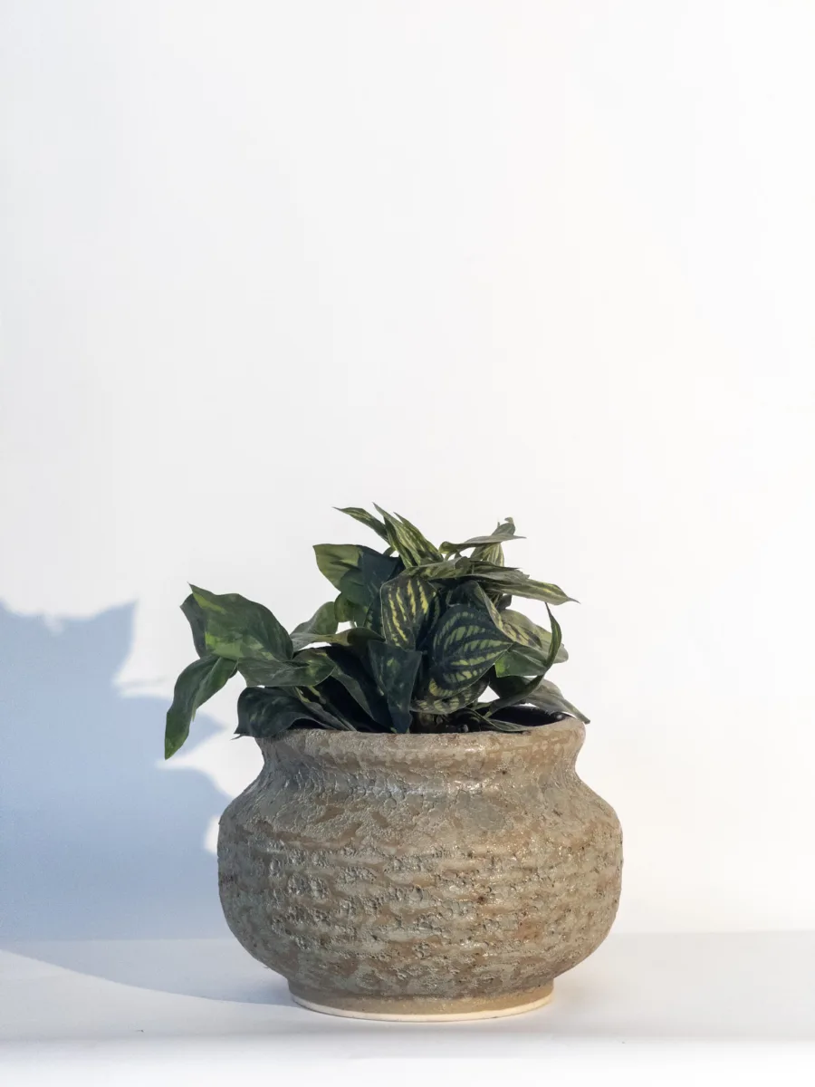 Classic Ceramic Planter — 8.5" Dia × 6.5" Height — Primary View