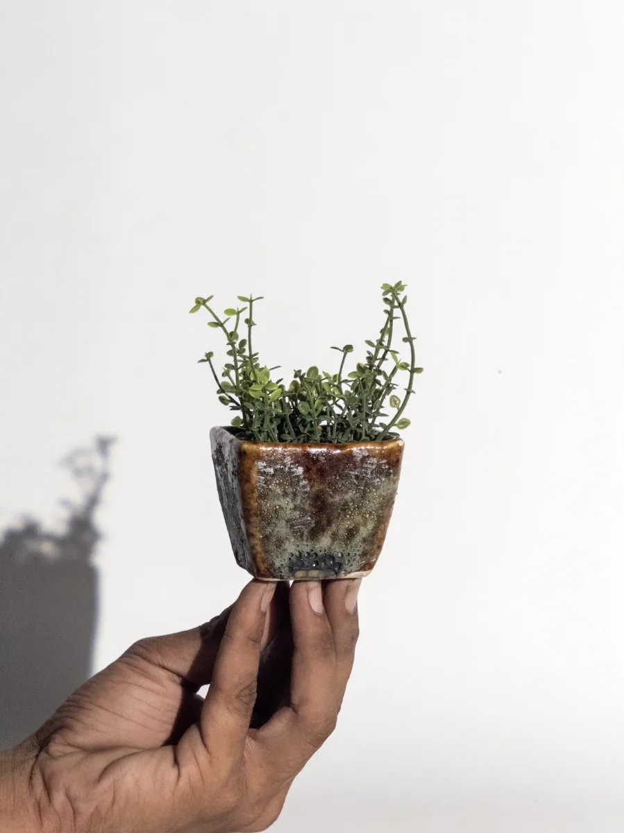 Classic Ceramic Planter — 6.5" Dia × 9.5" Height — Primary View