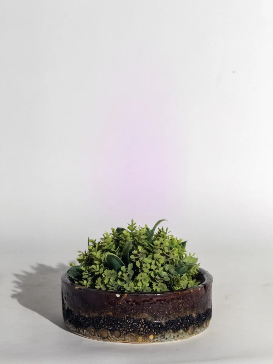 Classic Ceramic Planter — 8" Dia × 8" Height — Primary View