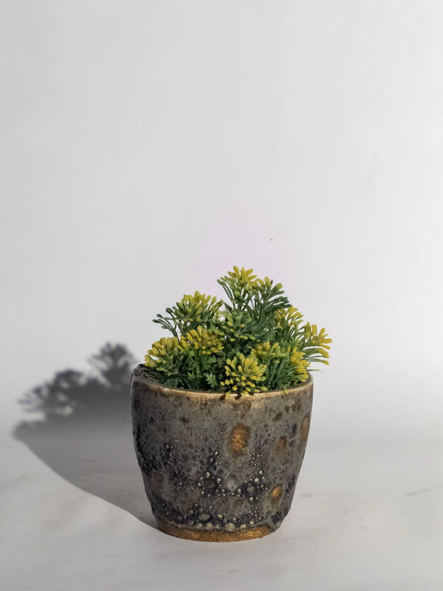Classic Ceramic Planter — 10" Dia × 6" Height — Primary View