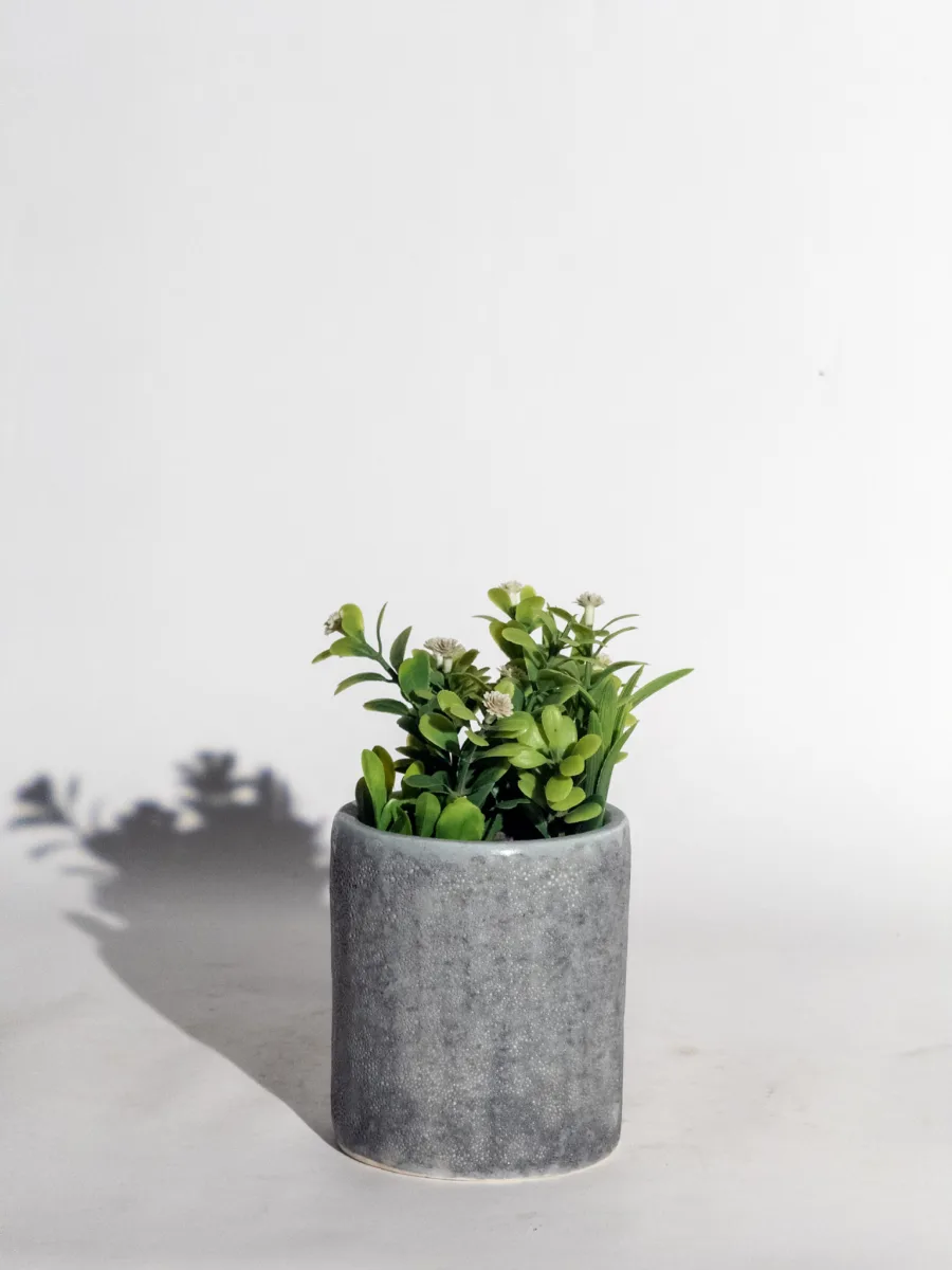 Classic Ceramic Planter — 8.5" Dia × 6.5" Height — Primary View