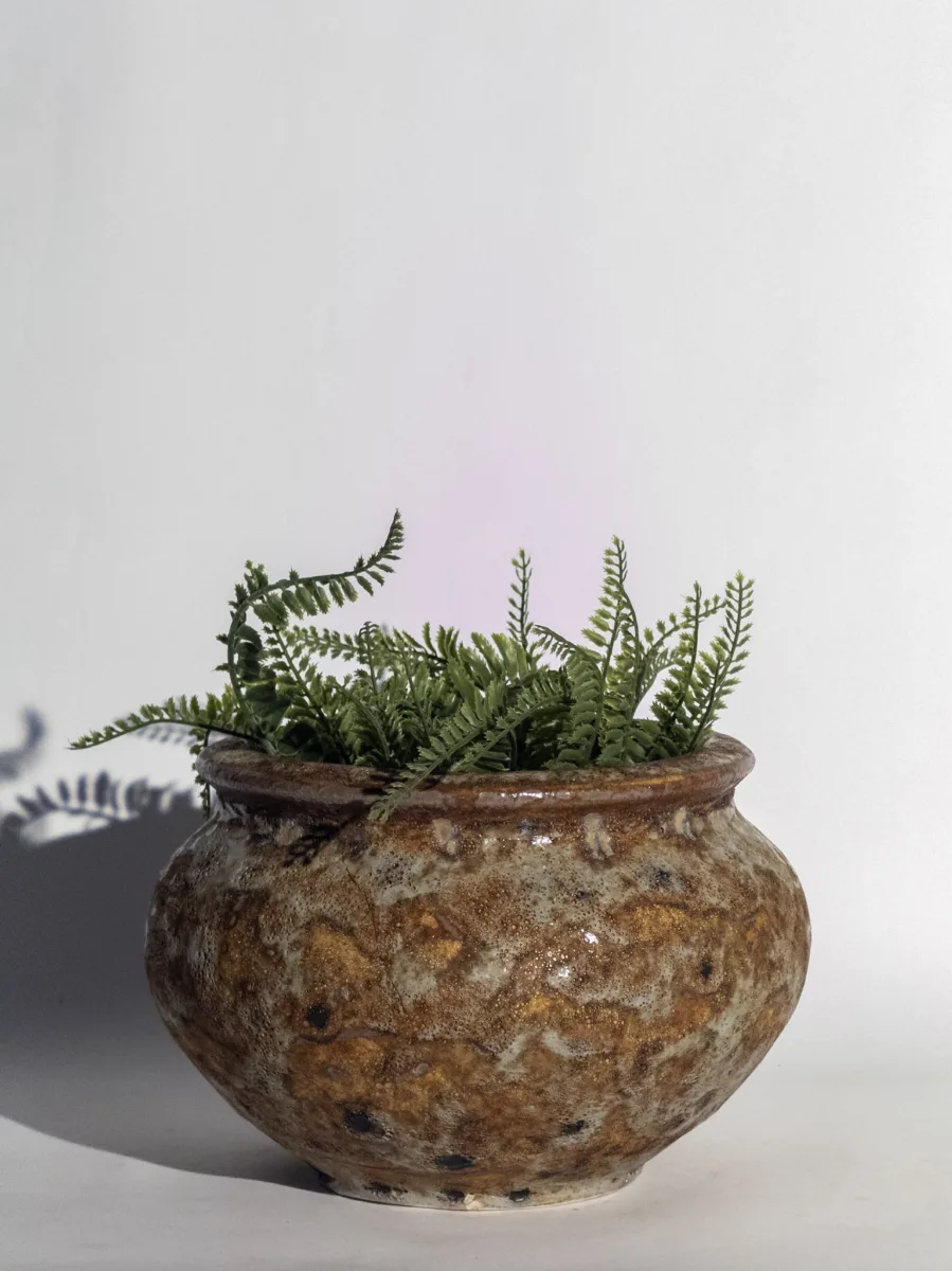 Classic Ceramic Planter — 5.5" Dia × 3.5" Height — Primary View