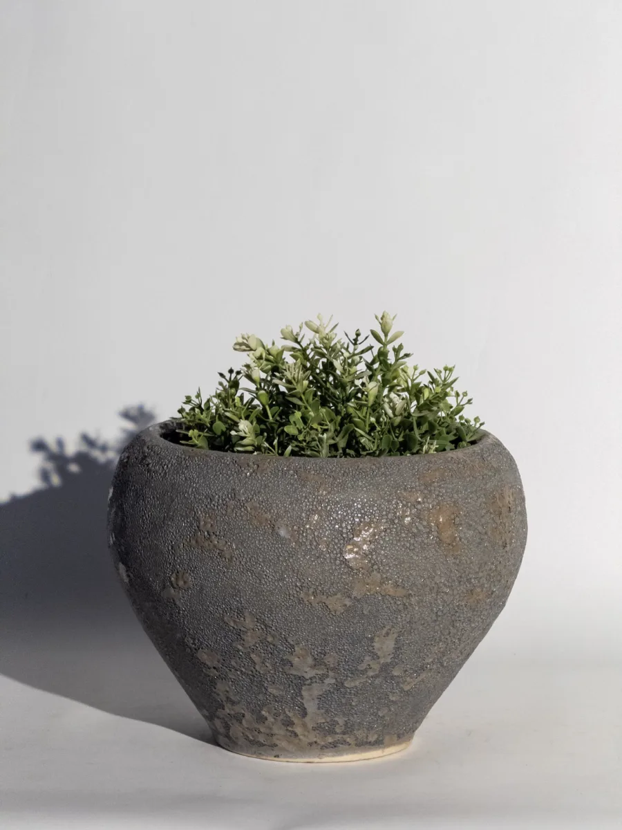 Classic Ceramic Planter — 5" Dia × 1.5" Height — Primary View