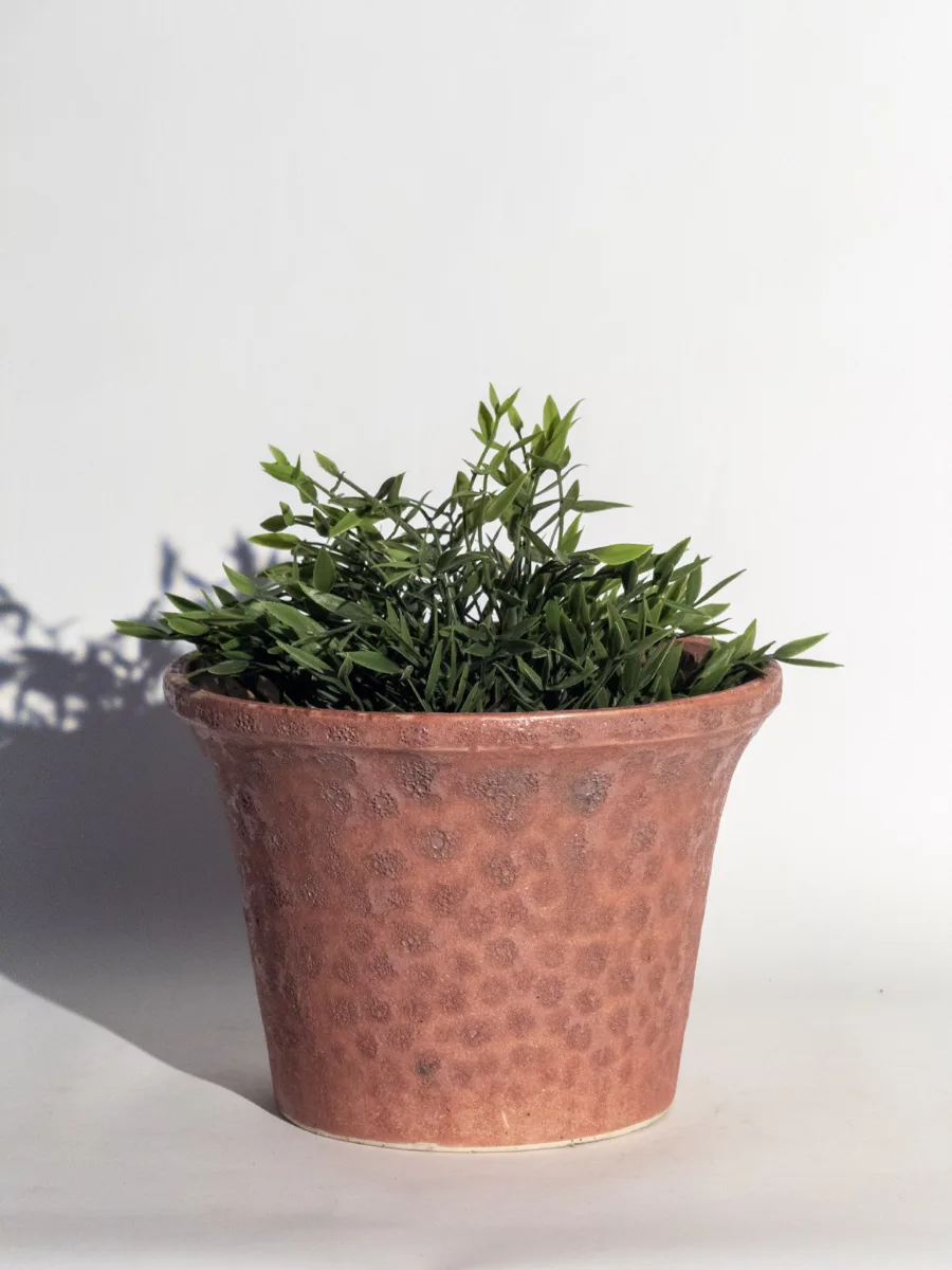 Classic Ceramic Planter — 4.5" Dia × 4" Height — Primary View