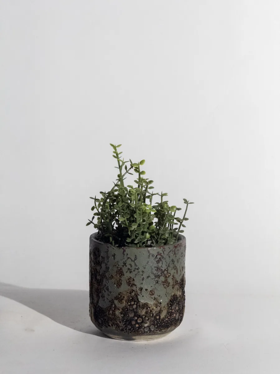 Classic Ceramic Planter — 4" Dia × 3" Height — Primary View