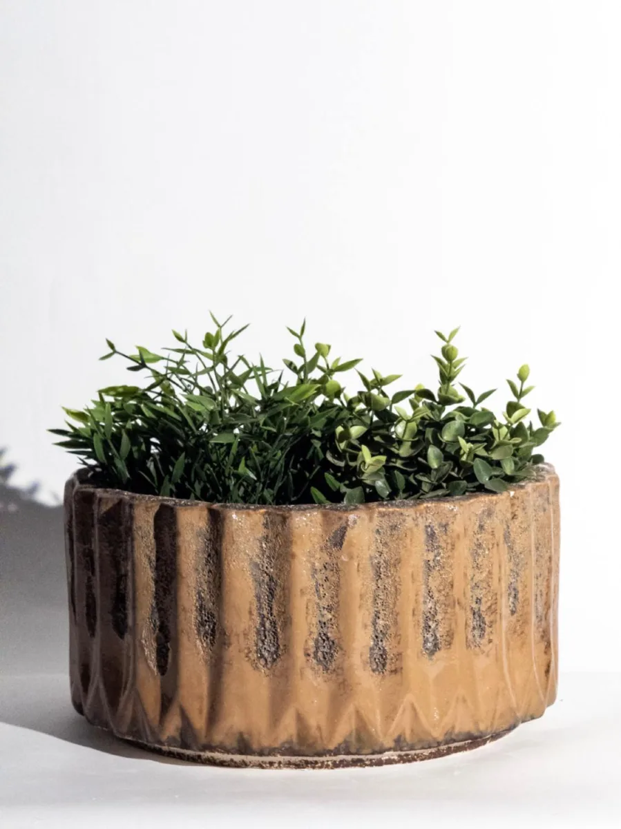 Classic Ceramic Planter — 8.5" Dia × 6.5" Height — Primary View