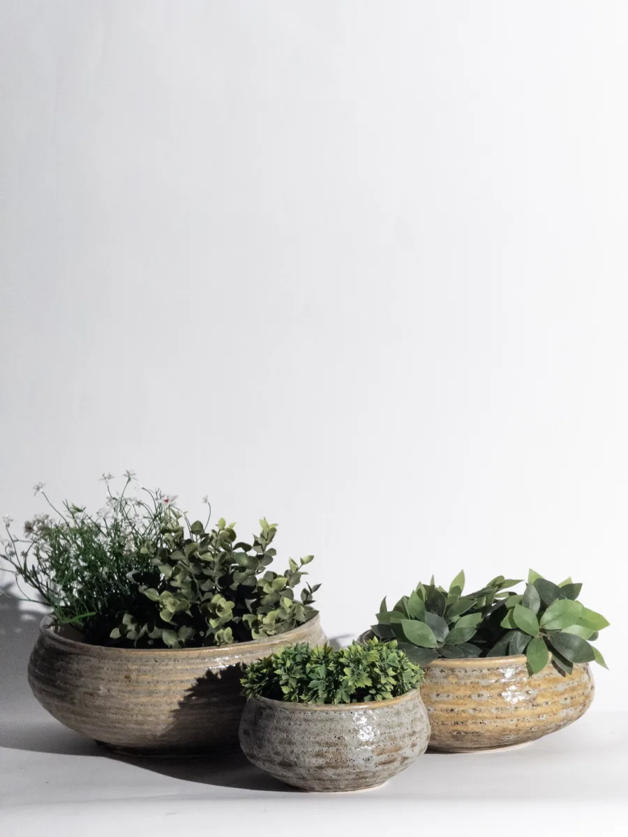 Classic Ceramic Planter — 12" Dia × 6" Height — Primary View