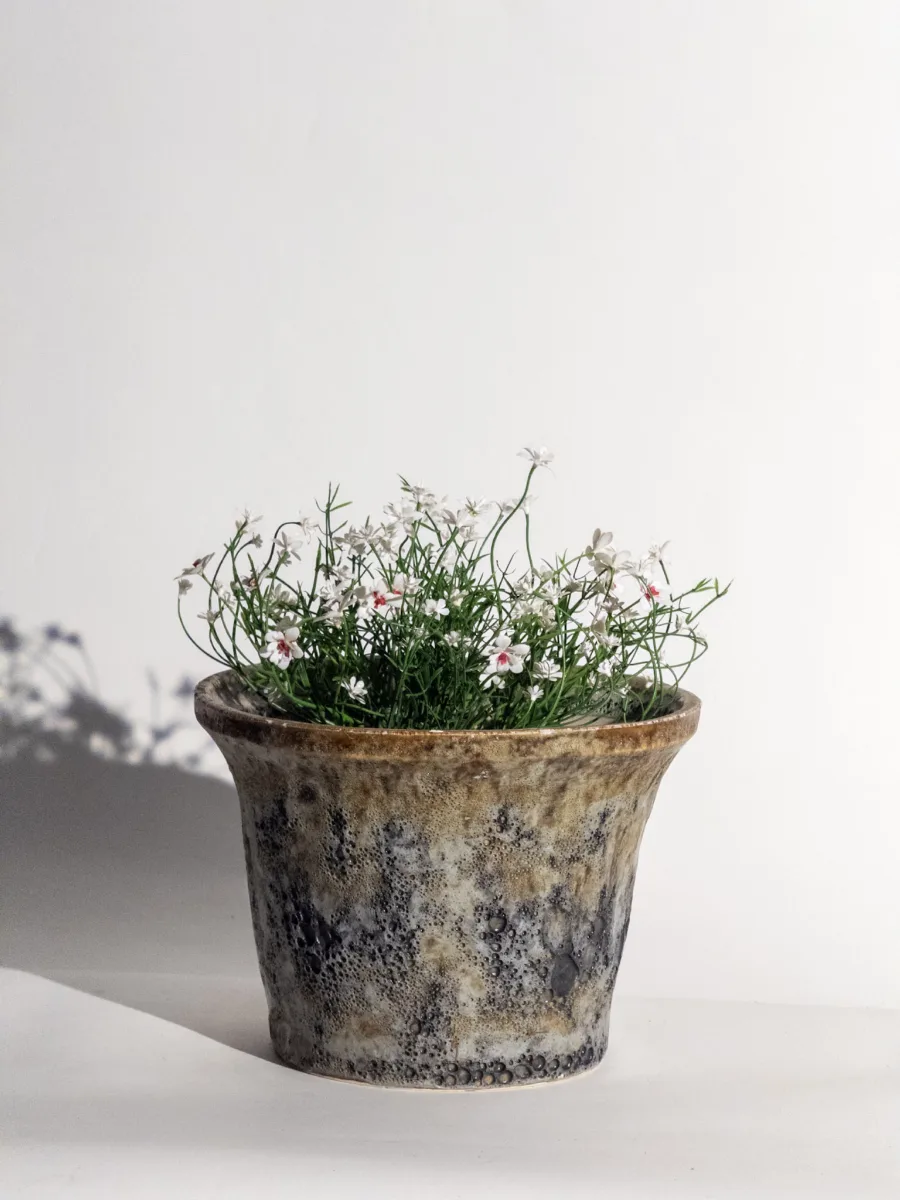 Classic Ceramic Planter — 12" Dia × 6" Height — Primary View