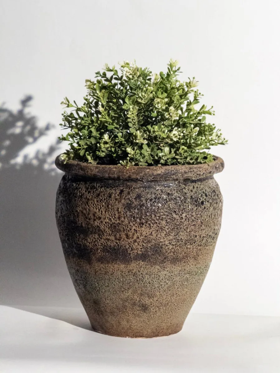 Classic Ceramic Planter — 12" Dia × 6" Height — Primary View