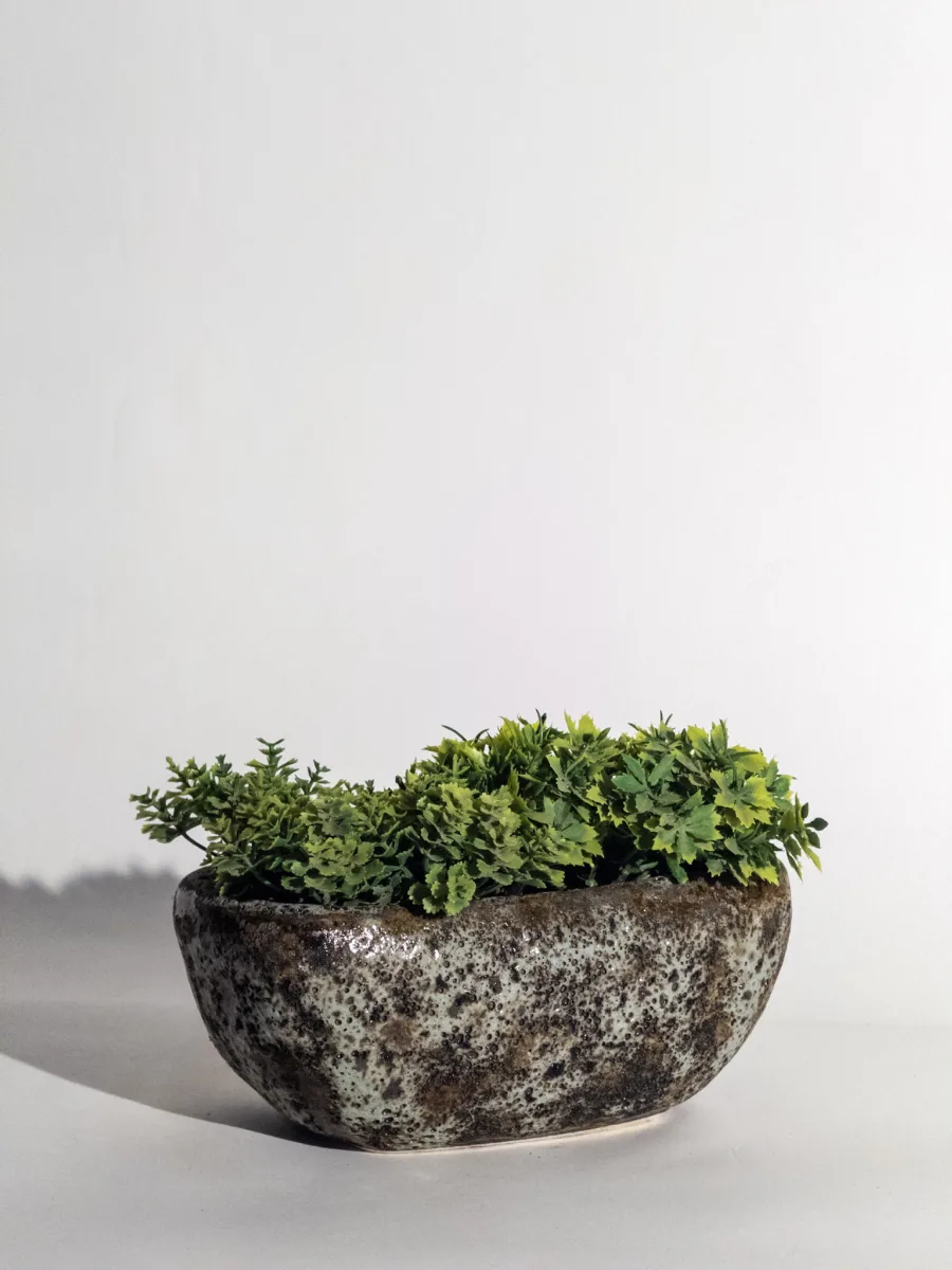 Classic Ceramic Planter — 12" Dia × 6" Height — Primary View