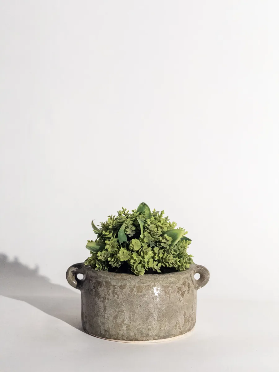 Classic Ceramic Planter — 14" Dia × 7" Height — Primary View
