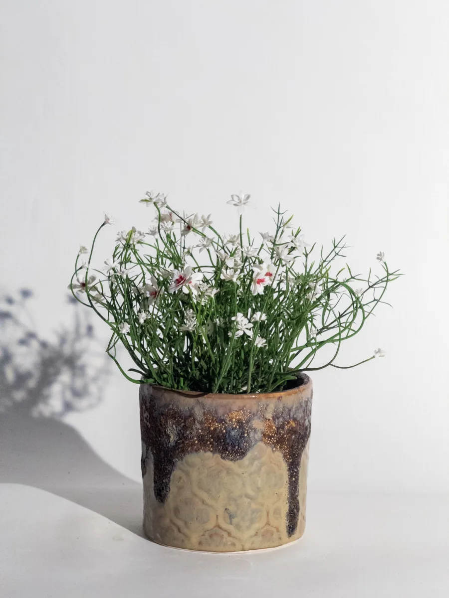 Classic Ceramic Planter — 14" Dia × 7" Height — Primary View