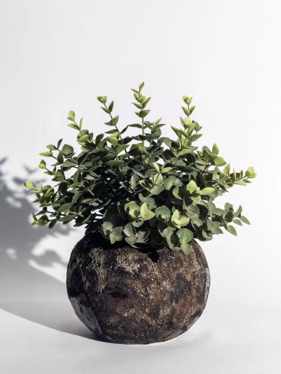 Classic Ceramic Planter — 9.5" Dia × 5.5" Height — Primary View