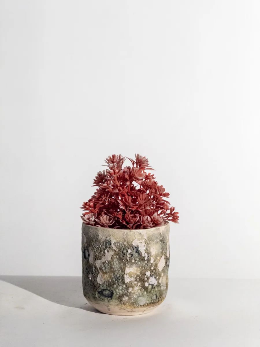 Classic Ceramic Planter — 8" Dia × 3" Height — Primary View