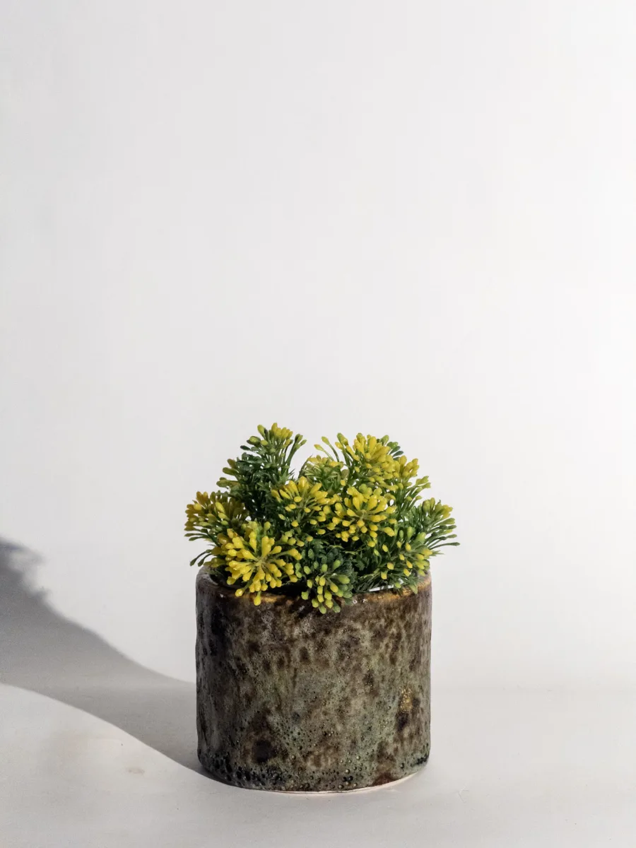 Classic Ceramic Planter — 6" Dia × 3" Height — Primary View