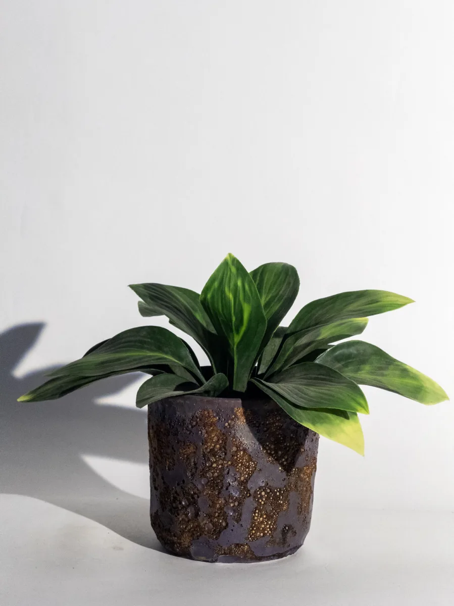 Classic Ceramic Planter — 4.5" Dia × 4.5" Height — Primary View