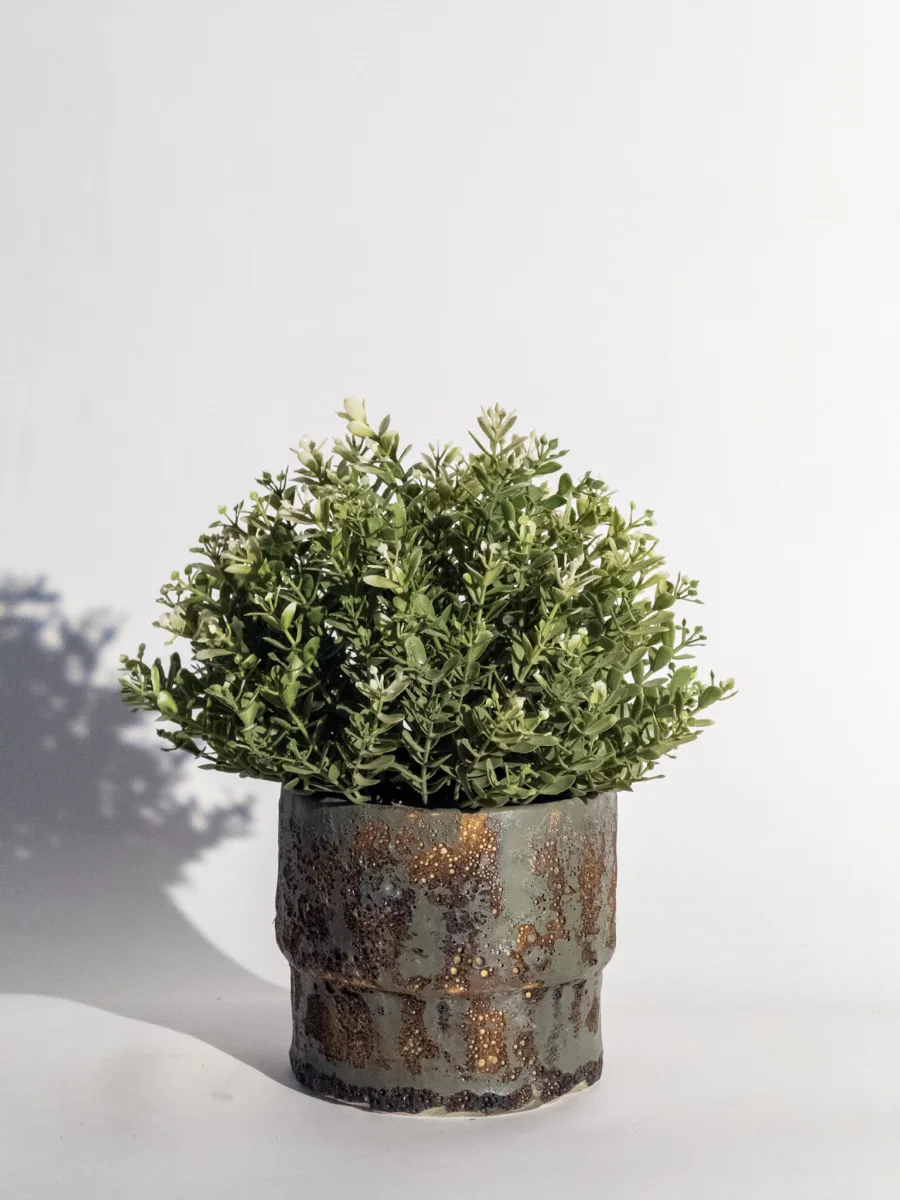Classic Ceramic Planter — 6" Dia × 5" Height — Primary View