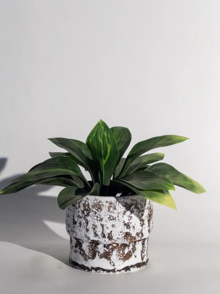 Classic Ceramic Planter — 2.5" Dia × 3" Height — Primary View