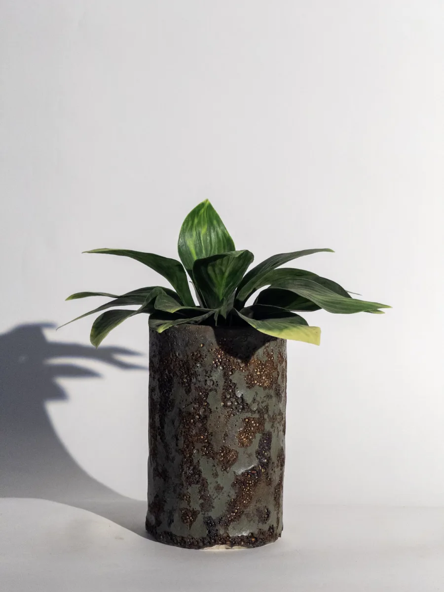 Classic Ceramic Planter — 2.5" Dia × 3" Height — Primary View
