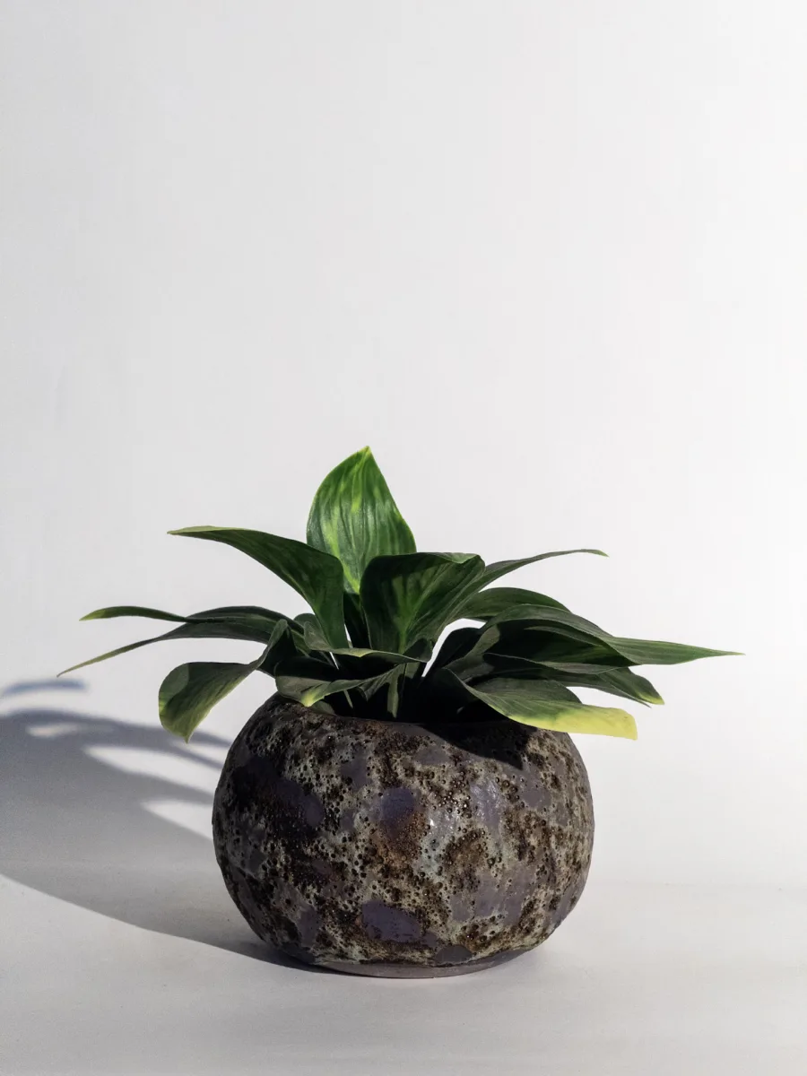 Classic Ceramic Planter — 5" Dia × 4" Height — Primary View