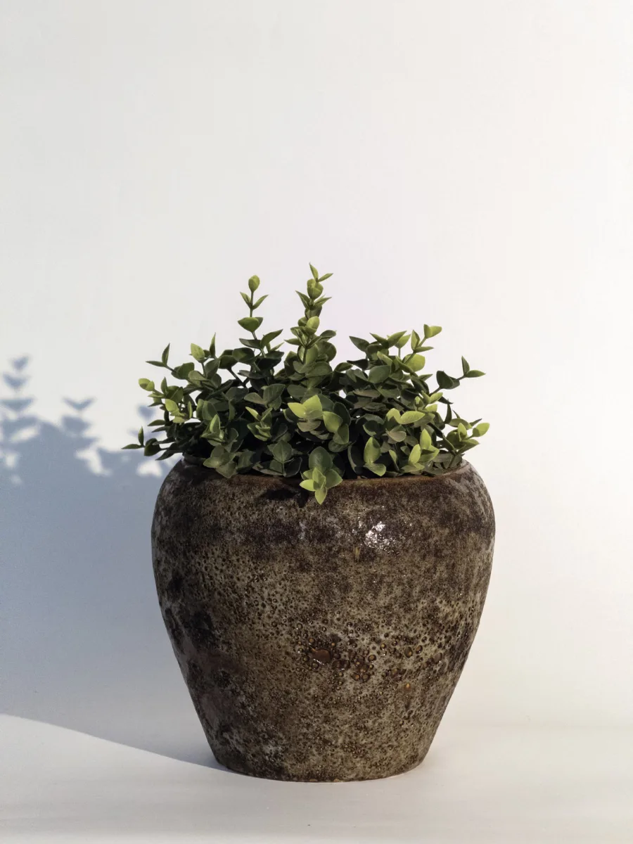 Classic Ceramic Planter — 4.5" Dia × 7" Height — Primary View