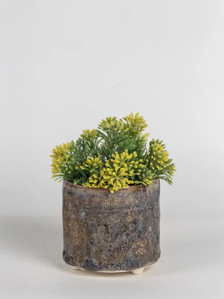 Classic Ceramic Planter — 8" Dia × 12.5" Height — Primary View