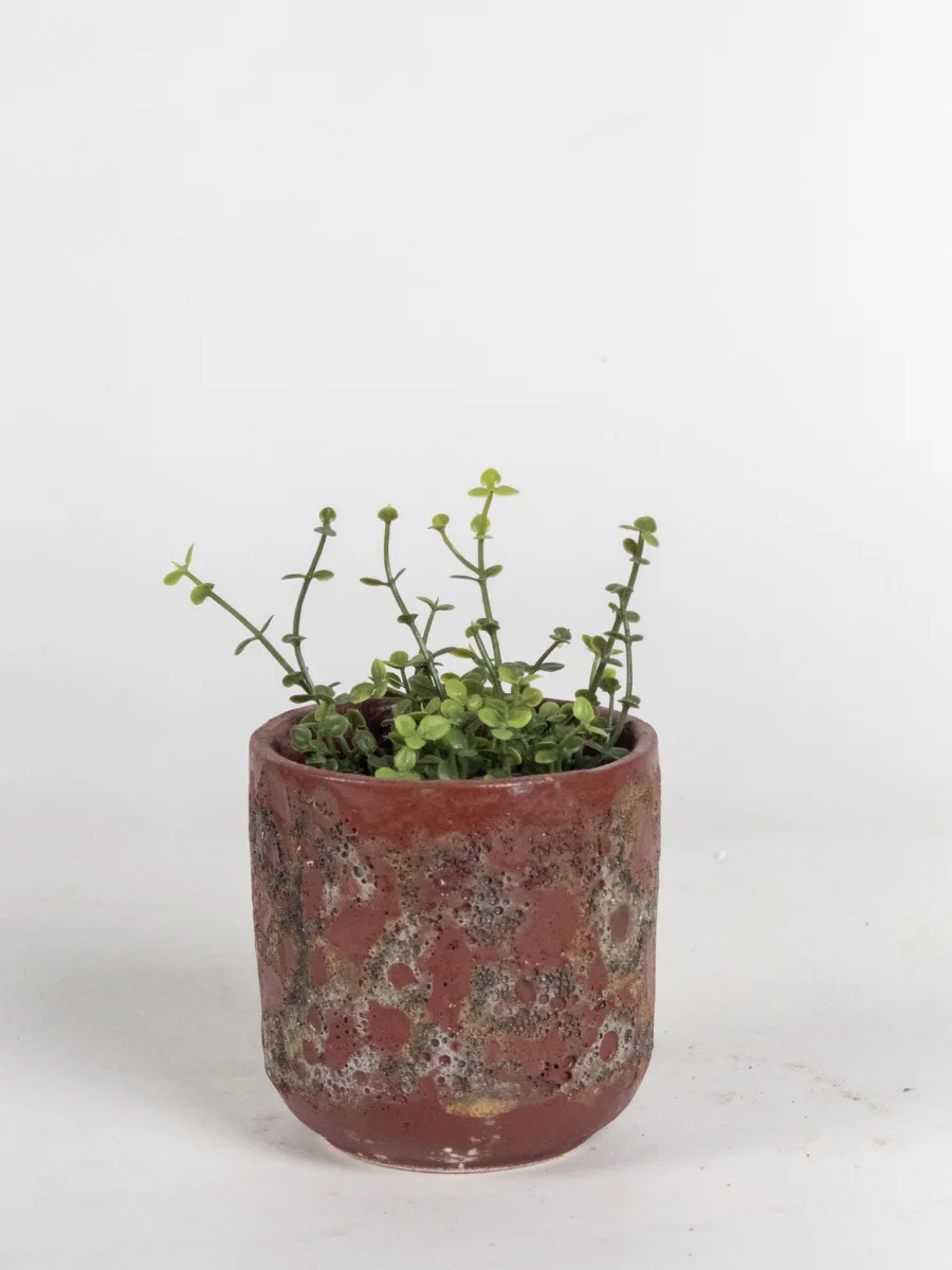 Classic Ceramic Planter — 12" Dia × 13.5" Height — Primary View