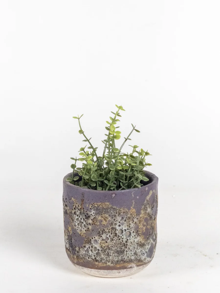 Classic Ceramic Planter Set of 2 (2" Dia) — Primary View