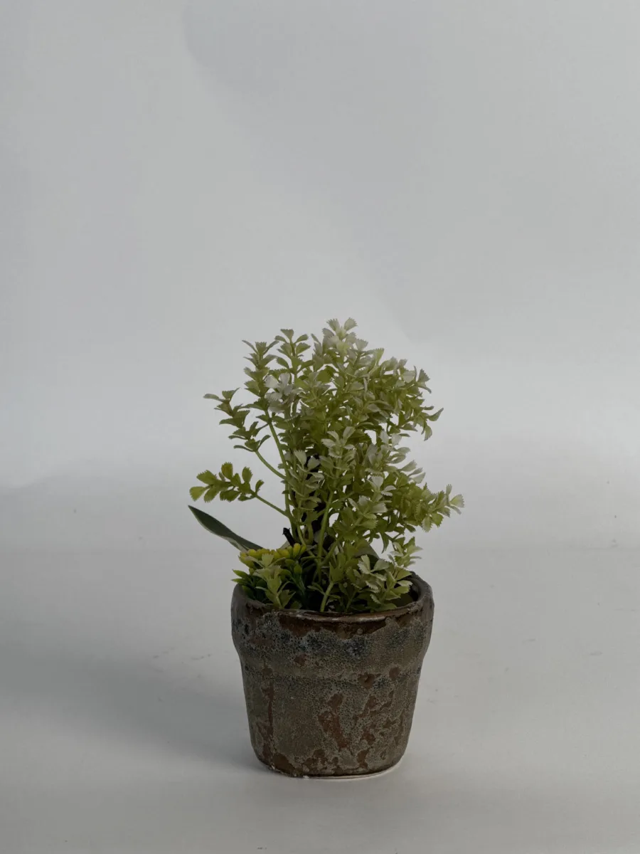 Classic Ceramic Planter — 7" Dia × 6" Height — Primary View
